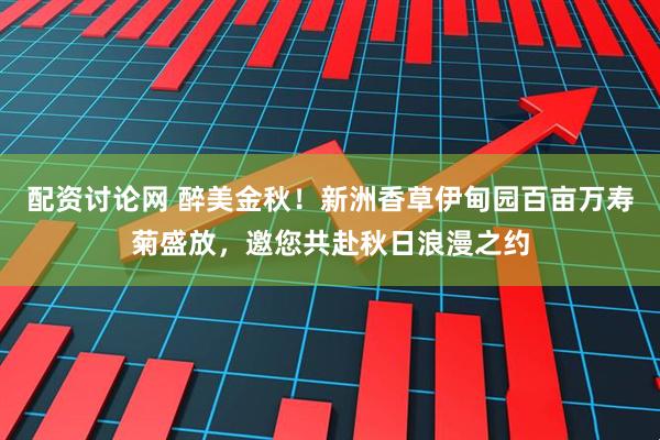 配资讨论网 醉美金秋!新洲香草伊甸园百亩万寿菊盛放,邀您共赴秋日浪漫之约