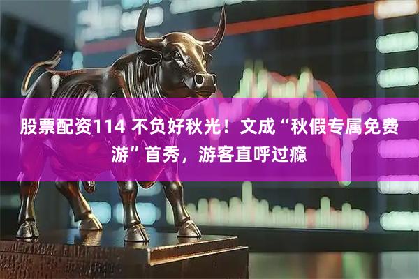 股票配资114 不负好秋光!文成“秋假专属免费游”首秀,游客直呼过瘾
